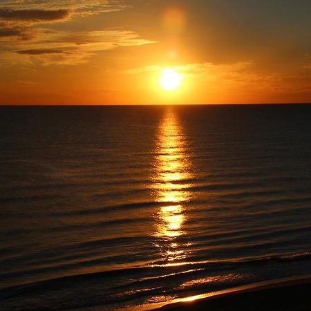 Apartamento Guardamar De La Safor Playa de Miramar Dış mekan fotoğraf